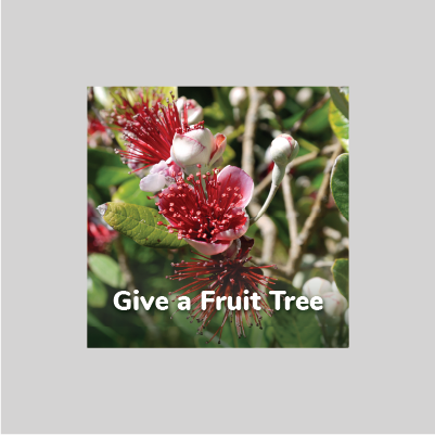 Give a fruit tree gift card (digital)