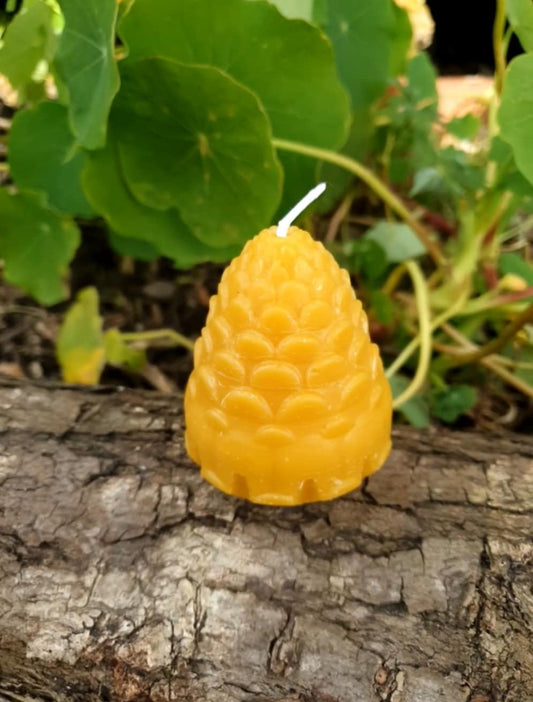 Pine Cone Closed- Beeswax Candle