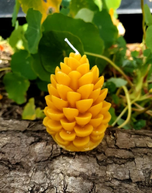 Open Pine Cone - Beeswax Candle